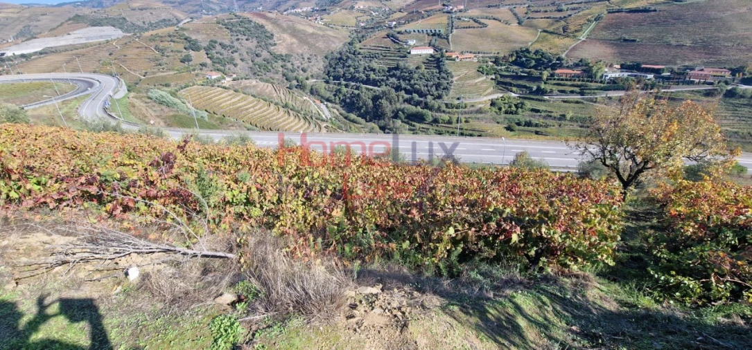 Quinta para Venda em Peso da Régua e Godim Foto 10
