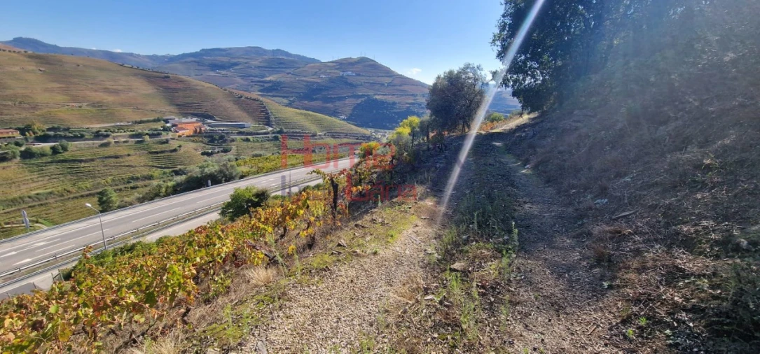 Quinta para Venda em Peso da Régua e Godim Foto 14
