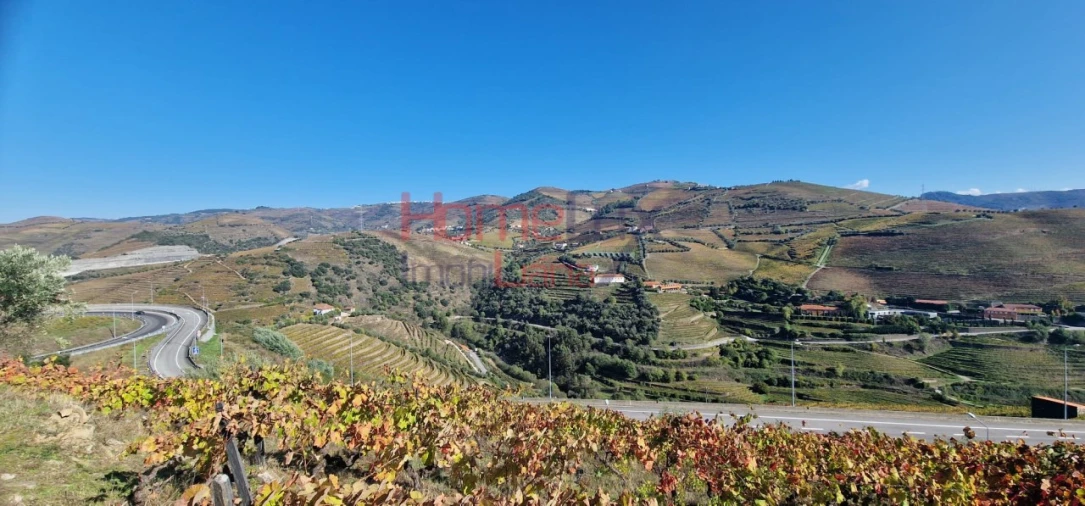 Quinta para Venda em Peso da Régua e Godim Foto 18