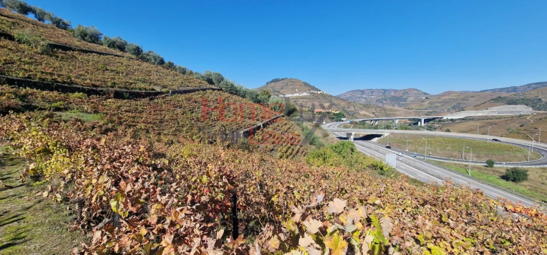 Quinta para Venda em Peso da Régua e Godim Foto 21