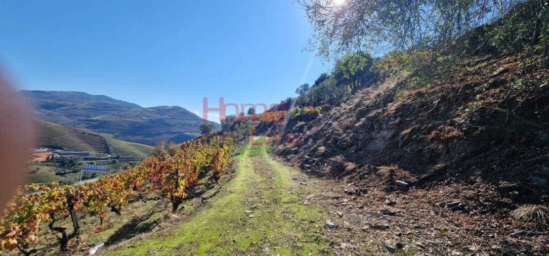 Quinta para Venda em Peso da Régua e Godim Foto 25