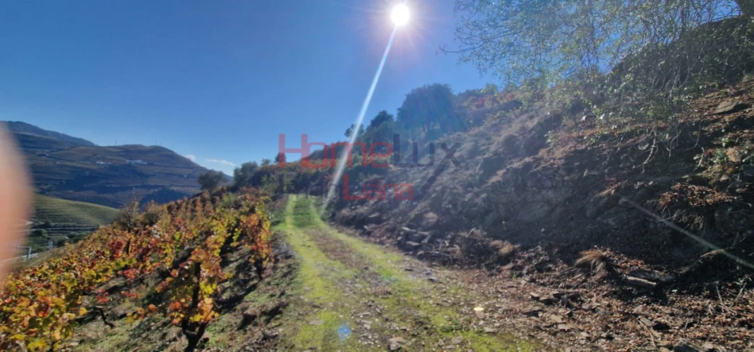 Quinta para Venda em Peso da Régua e Godim Foto 26