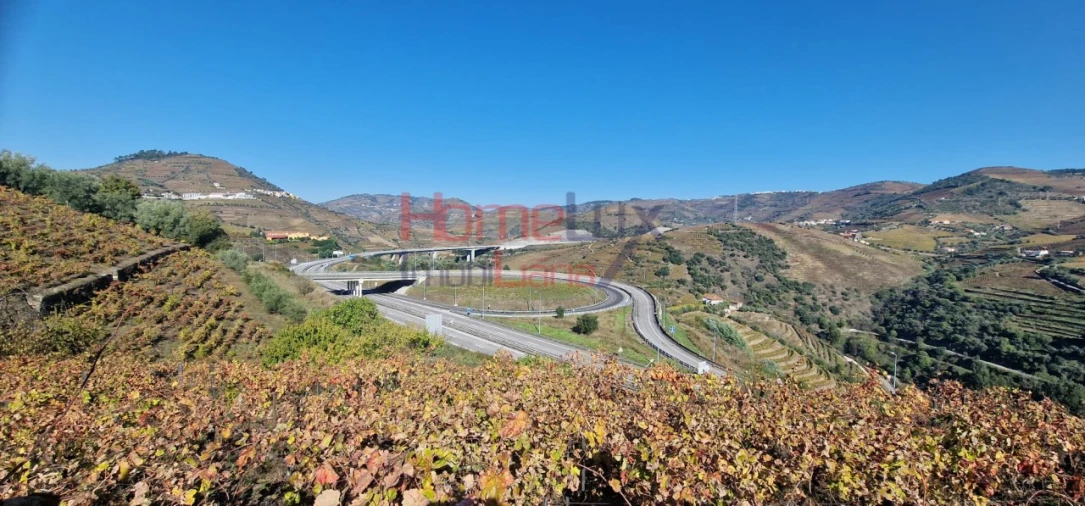 Quinta para Venda em Peso da Régua e Godim Foto 29