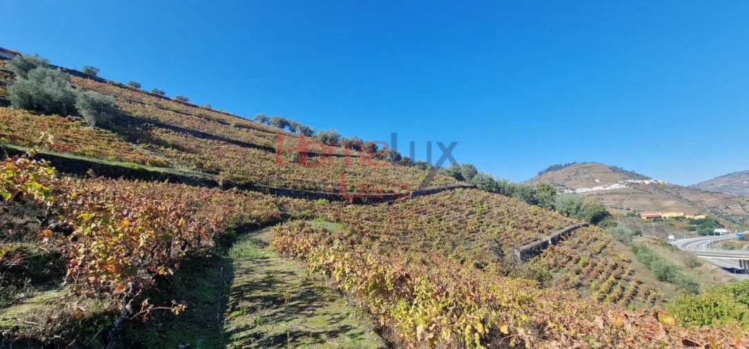 Quinta para Venda em Peso da Régua e Godim Foto 30