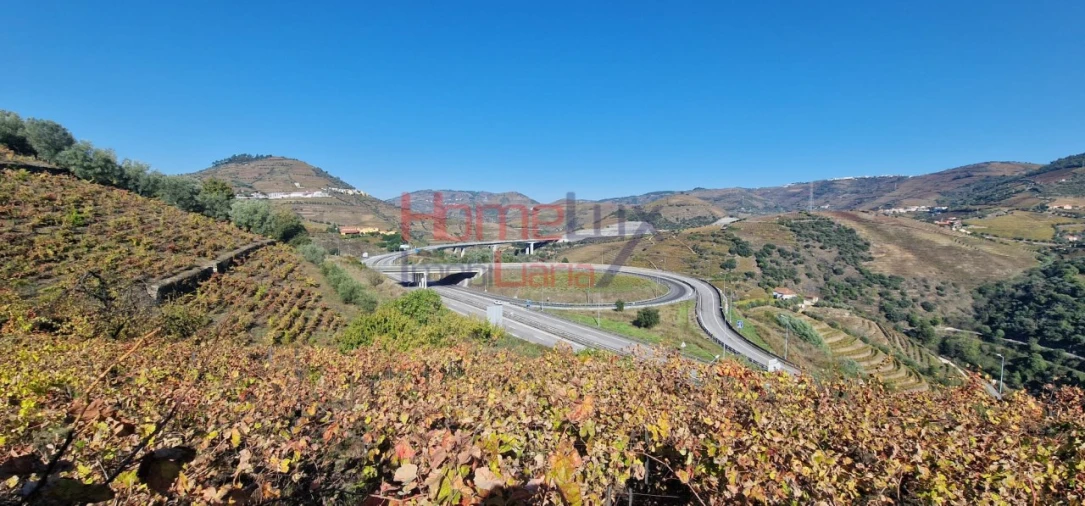 Quinta para Venda em Peso da Régua e Godim Foto 31