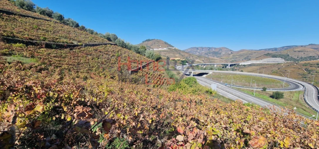 Quinta para Venda em Peso da Régua e Godim Foto 33