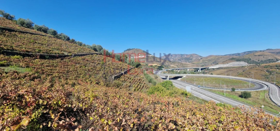 Quinta para Venda em Peso da Régua e Godim Foto 37