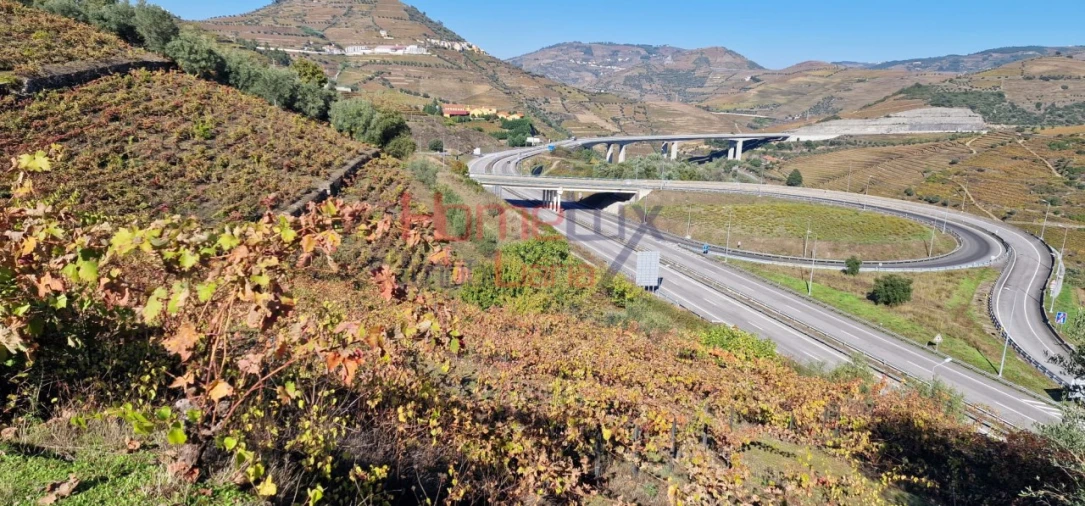 Quinta para Venda em Peso da Régua e Godim Foto 45