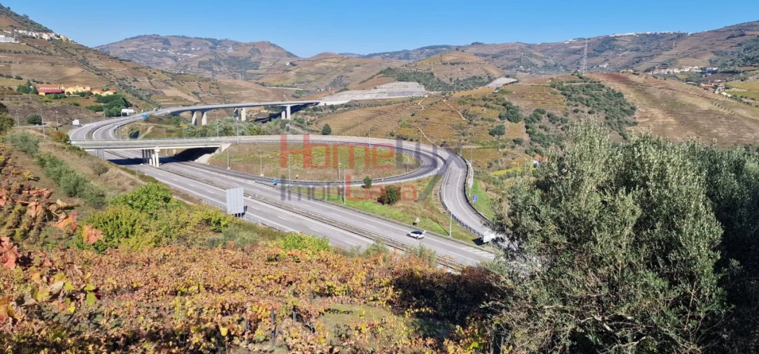 Quinta para Venda em Peso da Régua e Godim Foto 46