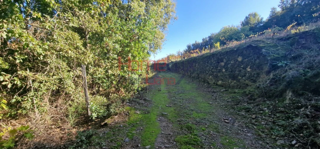 Quinta para Venda em Peso da Régua e Godim Foto 61