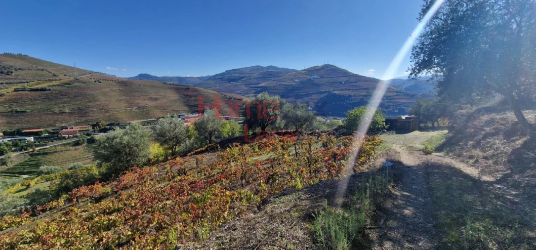 Quinta para Venda em Peso da Régua e Godim Foto 63