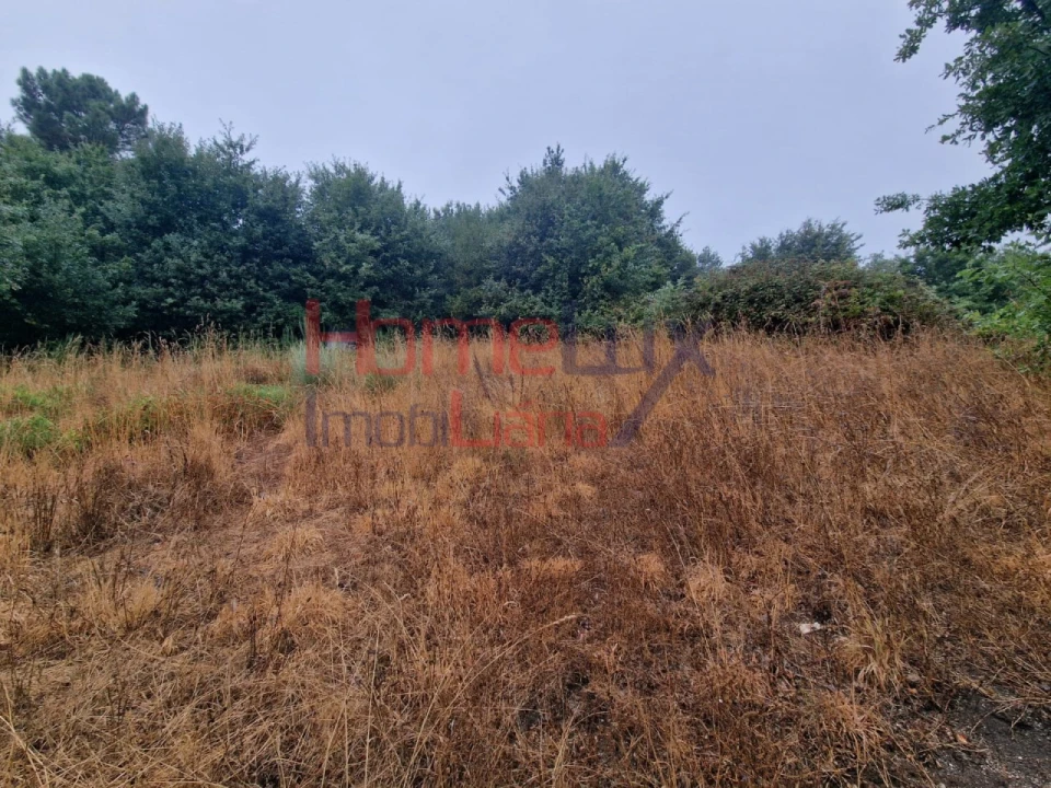 Terreno Agricola ou Rústico para Venda em Vila Cova a Coelheira Foto 1