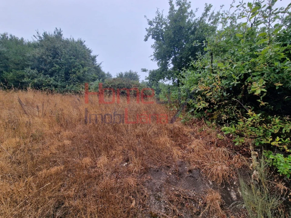 Terreno Agricola ou Rústico para Venda em Vila Cova a Coelheira Foto 3