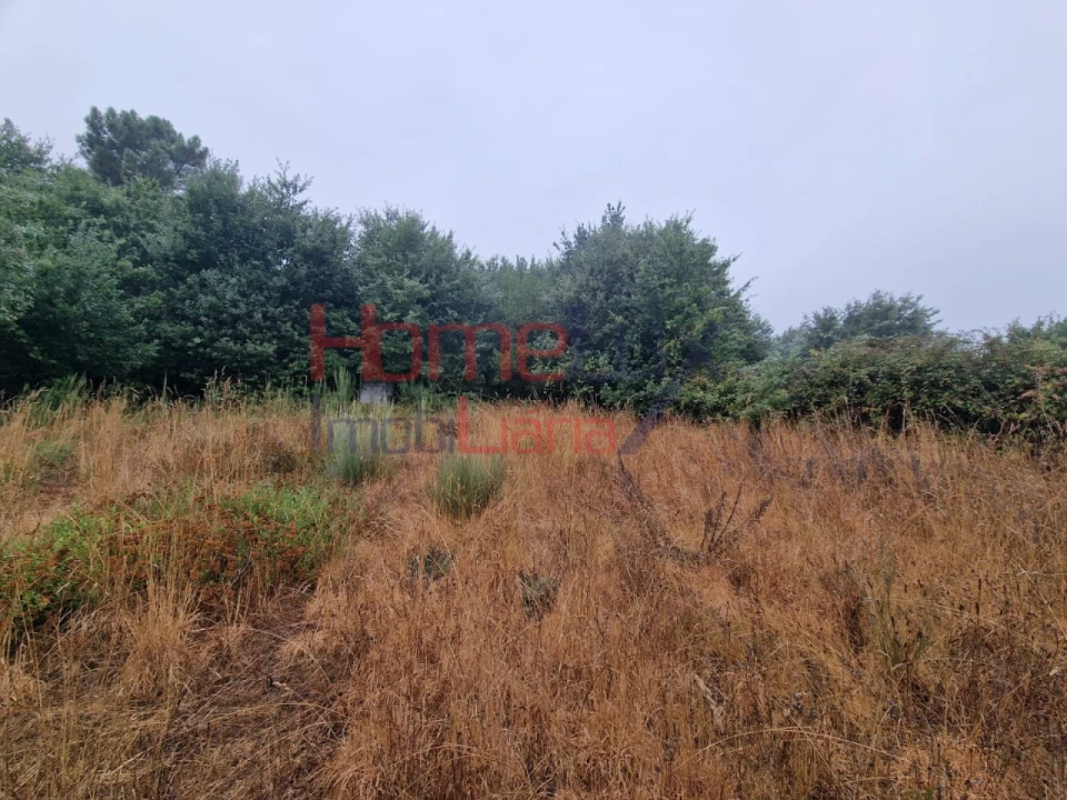 Terreno Agricola ou Rústico para Venda em Vila Cova a Coelheira Foto 7