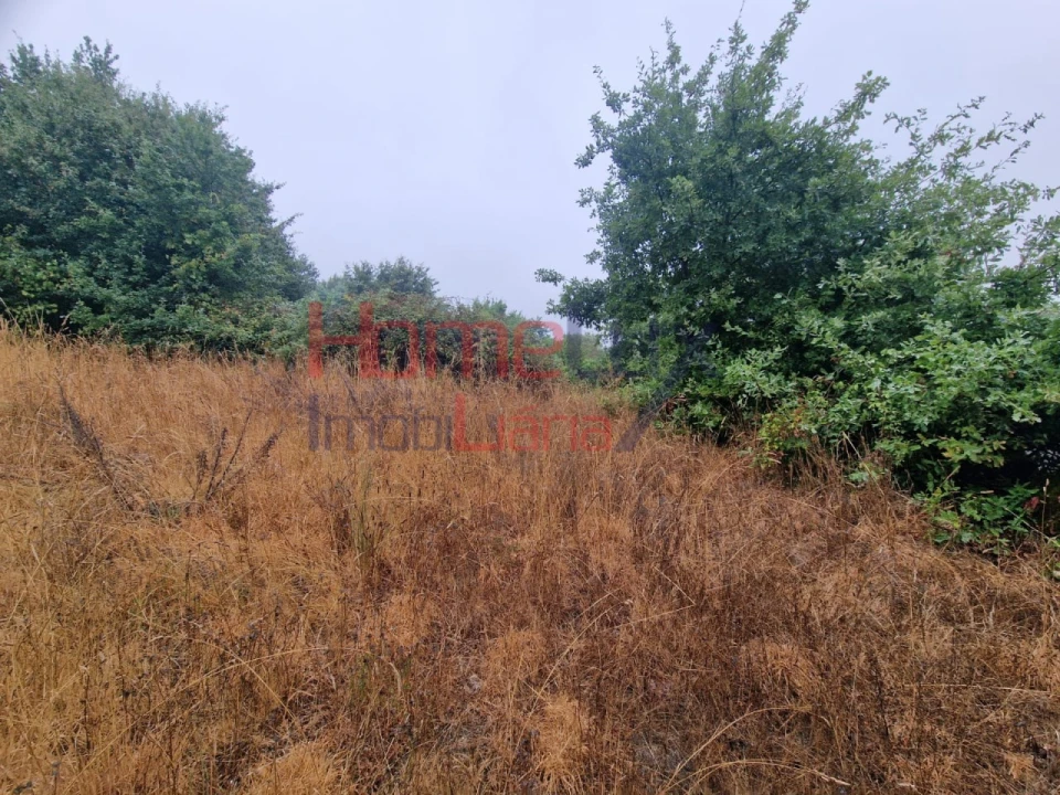 Terreno Agricola ou Rústico para Venda em Vila Cova a Coelheira Foto 11