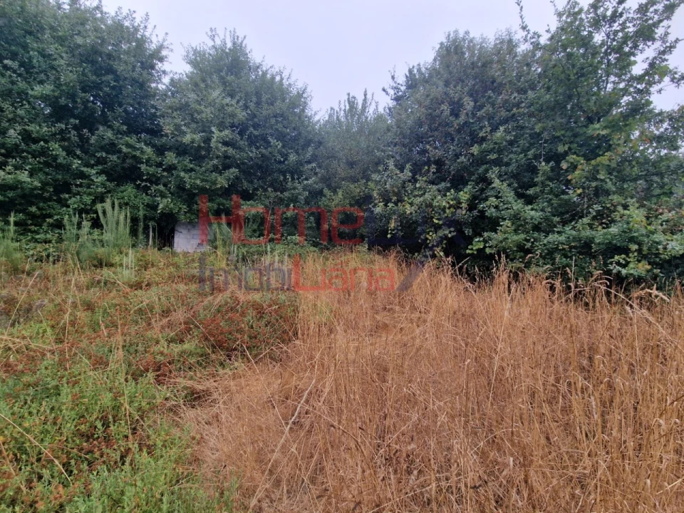 Terreno Agricola ou Rústico para Venda em Vila Cova a Coelheira Foto 13