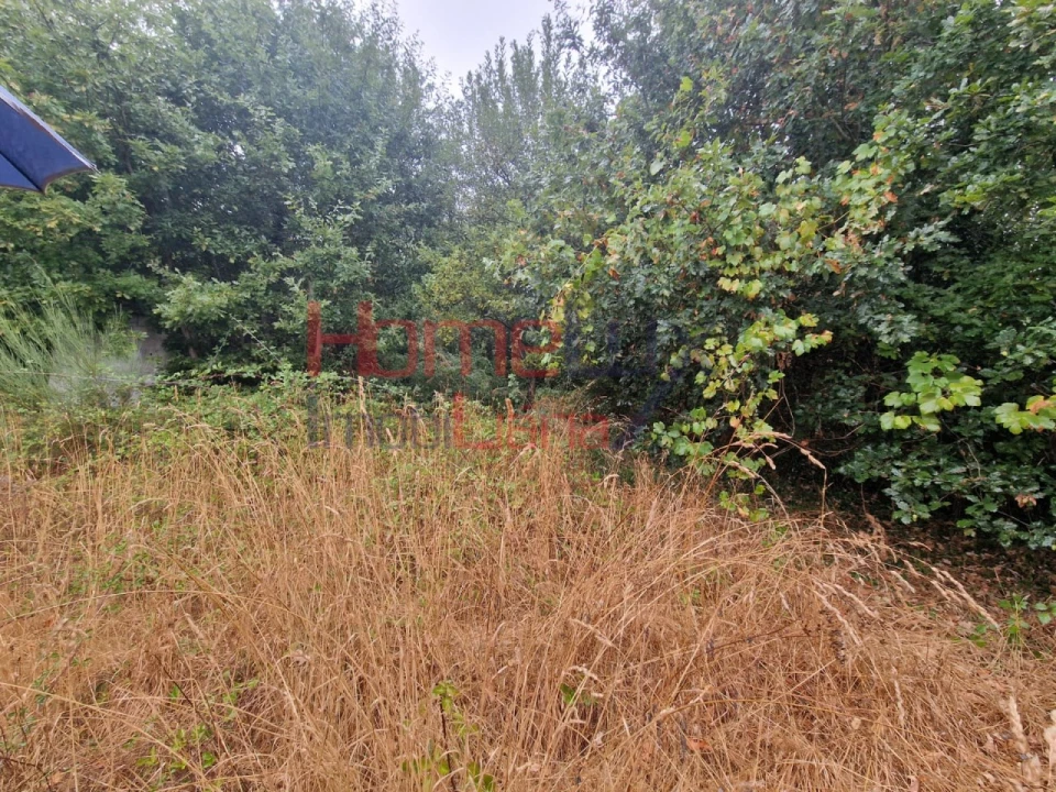 Terreno Agricola ou Rústico para Venda em Vila Cova a Coelheira Foto 16