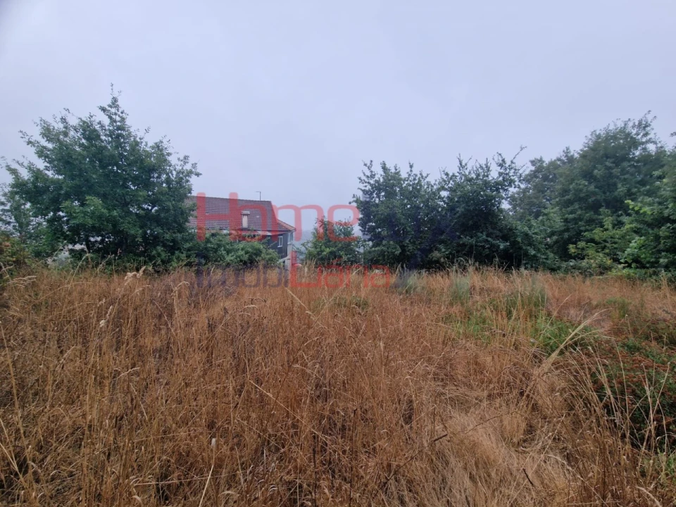 Terreno Agricola ou Rústico para Venda em Vila Cova a Coelheira Foto 17