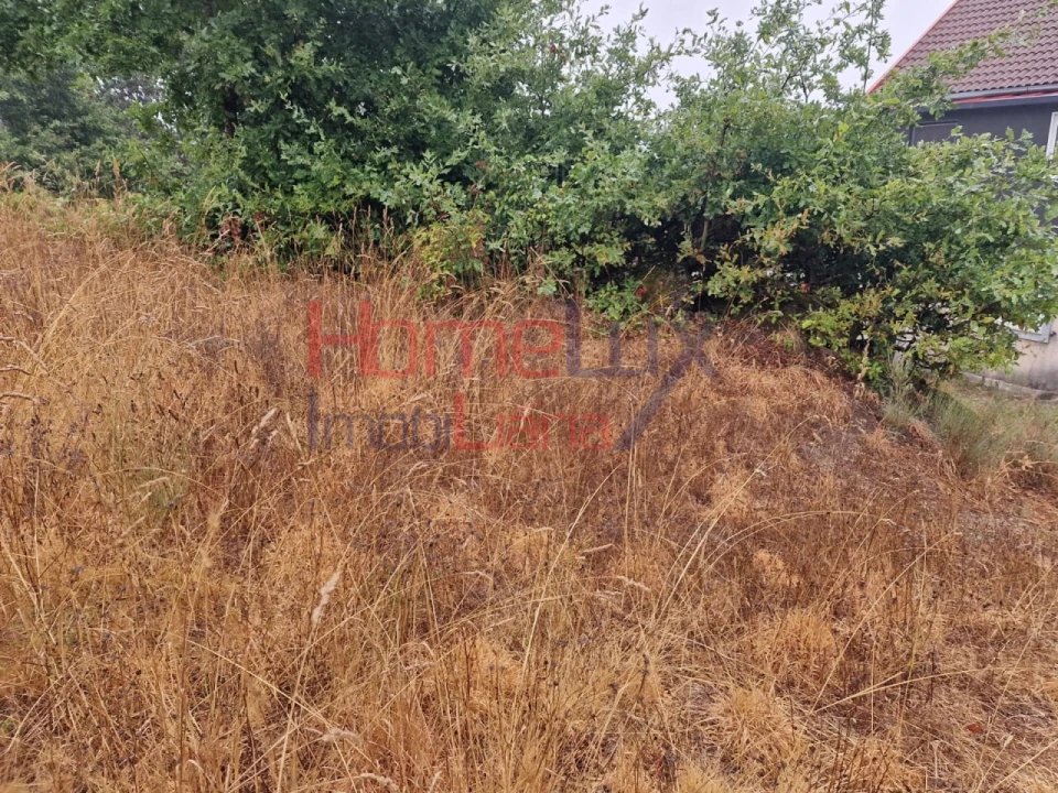 Terreno Agricola ou Rústico para Venda em Vila Cova a Coelheira Foto 19