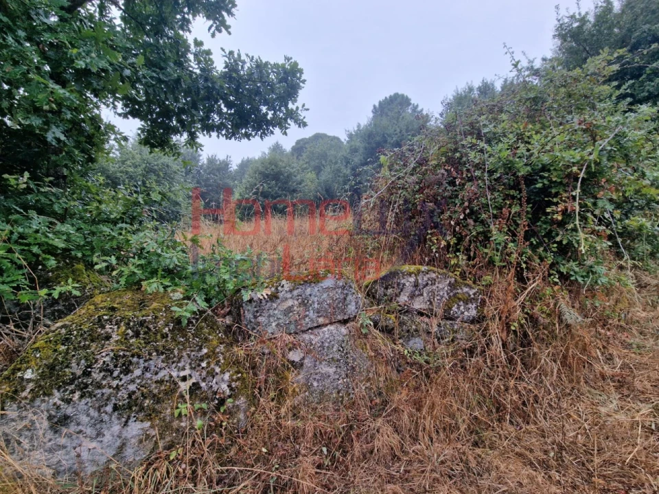 Terreno Agricola ou Rústico para Venda em Vila Cova a Coelheira Foto 20