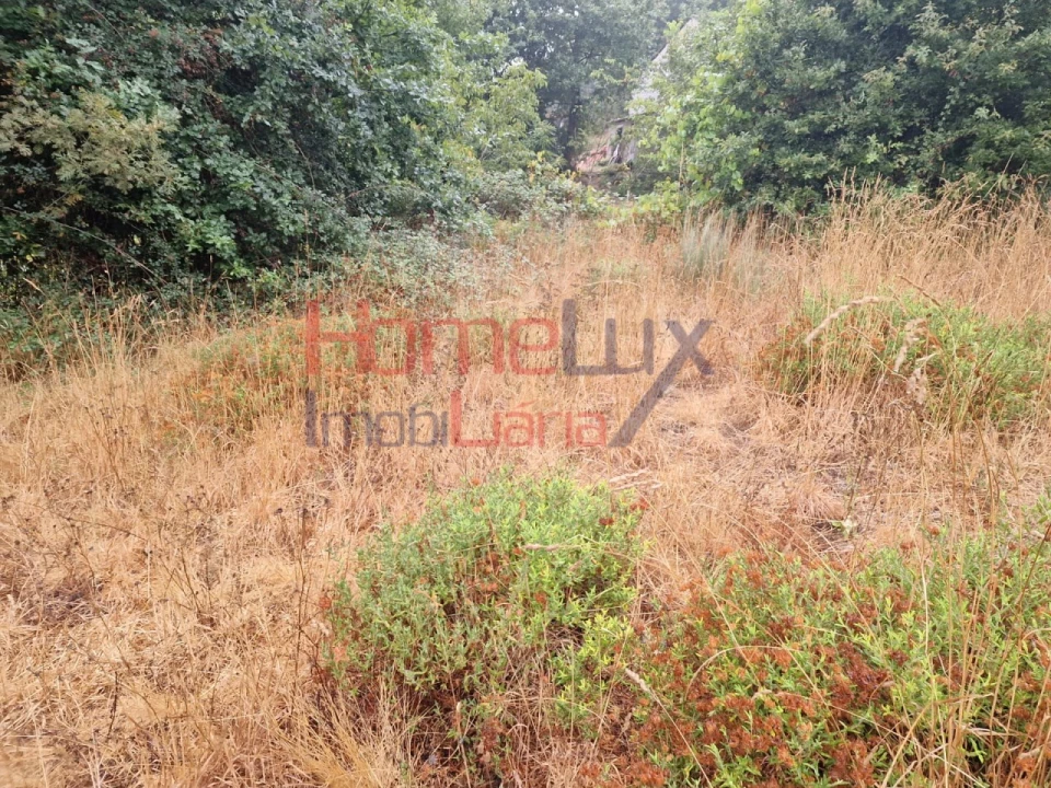 Terreno Agricola ou Rústico para Venda em Vila Cova a Coelheira Foto 21