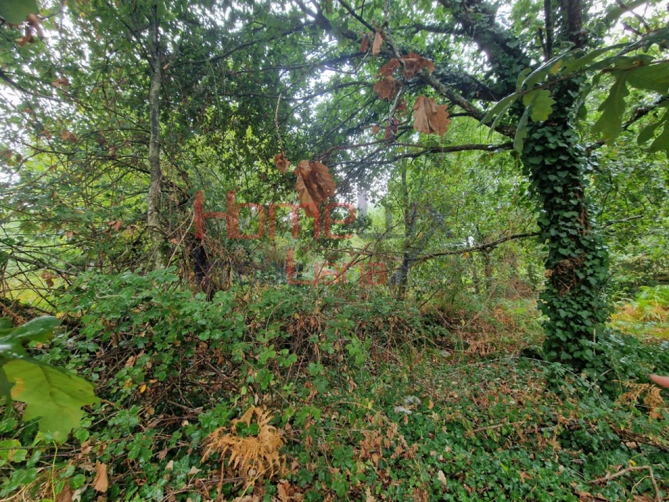 Terreno Agricola ou Rústico para Venda em Vila Cova a Coelheira Foto 24