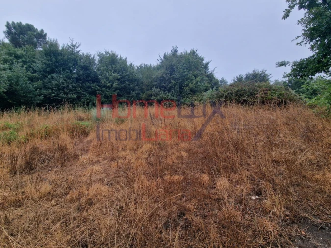 Terreno Agricola ou Rústico para Venda em Vila Cova a Coelheira