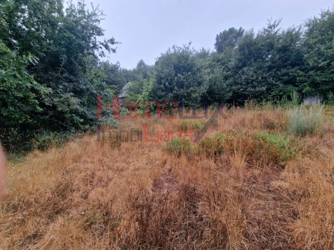 Terreno Agricola ou Rústico para Venda em Vila Cova a Coelheira Foto 2