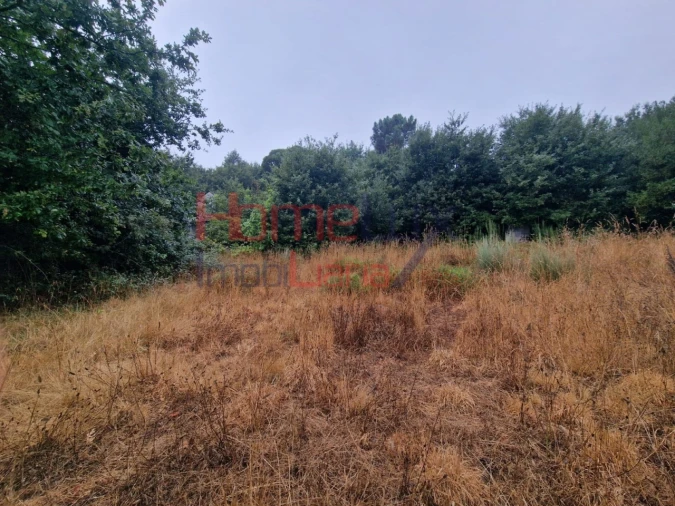 Terreno Agricola ou Rústico para Venda em Vila Cova a Coelheira Foto 4