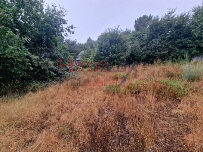 Terreno Agricola ou Rústico para Venda em Vila Cova a Coelheira Foto 5