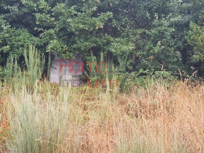Terreno Agricola ou Rústico para Venda em Vila Cova a Coelheira Foto 6