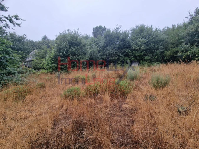 Terreno Agricola ou Rústico para Venda em Vila Cova a Coelheira Foto 9