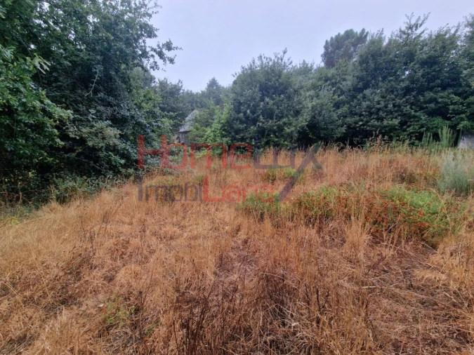 Terreno Agricola ou Rústico para Venda em Vila Cova a Coelheira Foto 12