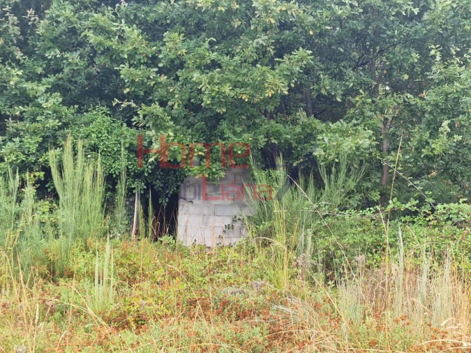 Terreno Agricola ou Rústico para Venda em Vila Cova a Coelheira Foto 14