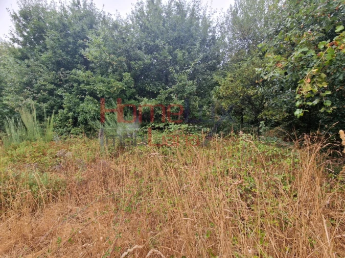 Terreno Agricola ou Rústico para Venda em Vila Cova a Coelheira Foto 15