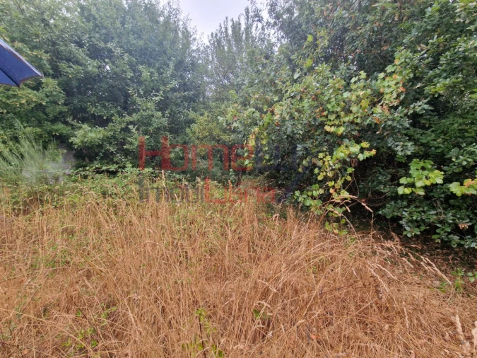 Terreno Agricola ou Rústico para Venda em Vila Cova a Coelheira Foto 16