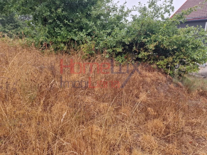 Terreno Agricola ou Rústico para Venda em Vila Cova a Coelheira Foto 19
