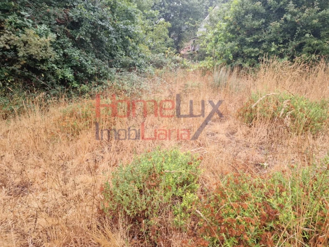 Terreno Agricola ou Rústico para Venda em Vila Cova a Coelheira Foto 21