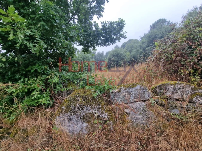 Terreno Agricola ou Rústico para Venda em Vila Cova a Coelheira Foto 22