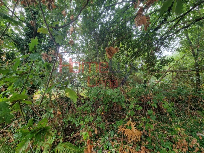 Terreno Agricola ou Rústico para Venda em Vila Cova a Coelheira Foto 23