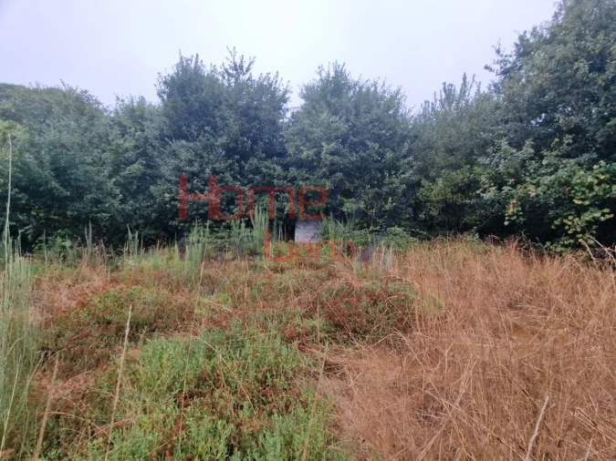 Terreno Agricola ou Rústico para Venda em Vila Cova a Coelheira Foto 25