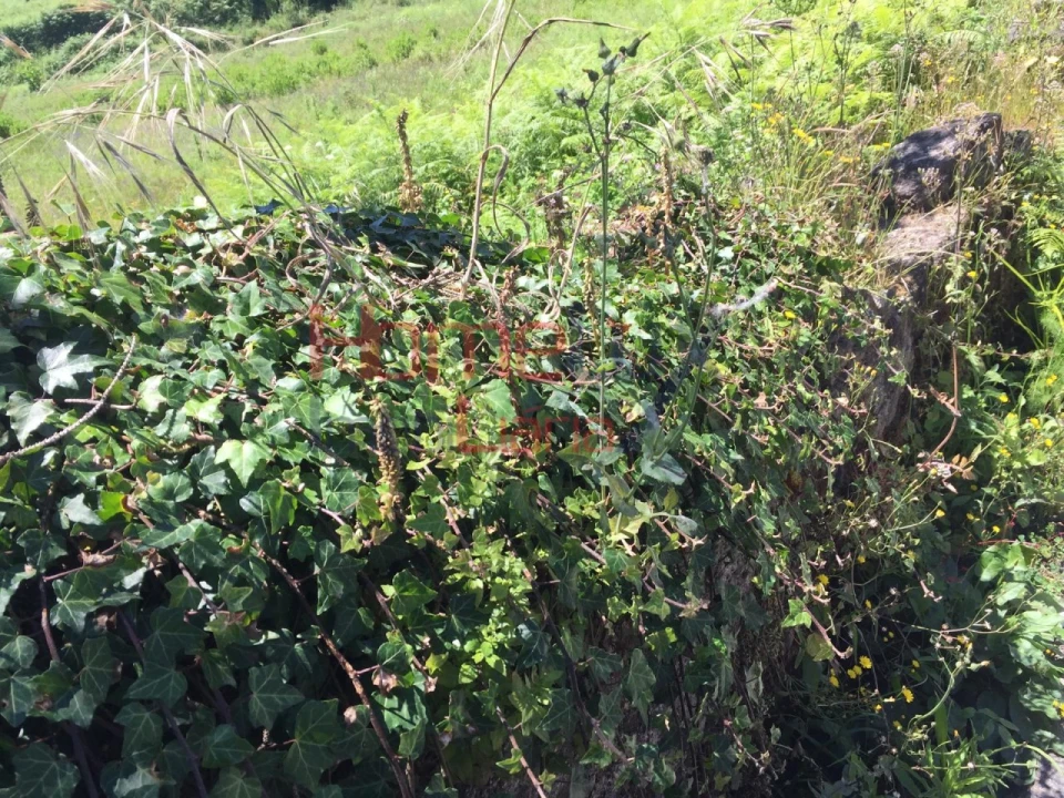 Terreno para Venda em O. Azeméis, Riba-Ul, Ul, Macinhata Seixa, Madail Foto 1