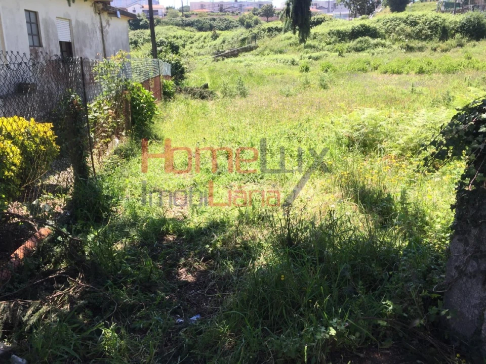 Terreno para Venda em O. Azeméis, Riba-Ul, Ul, Macinhata Seixa, Madail Foto 2