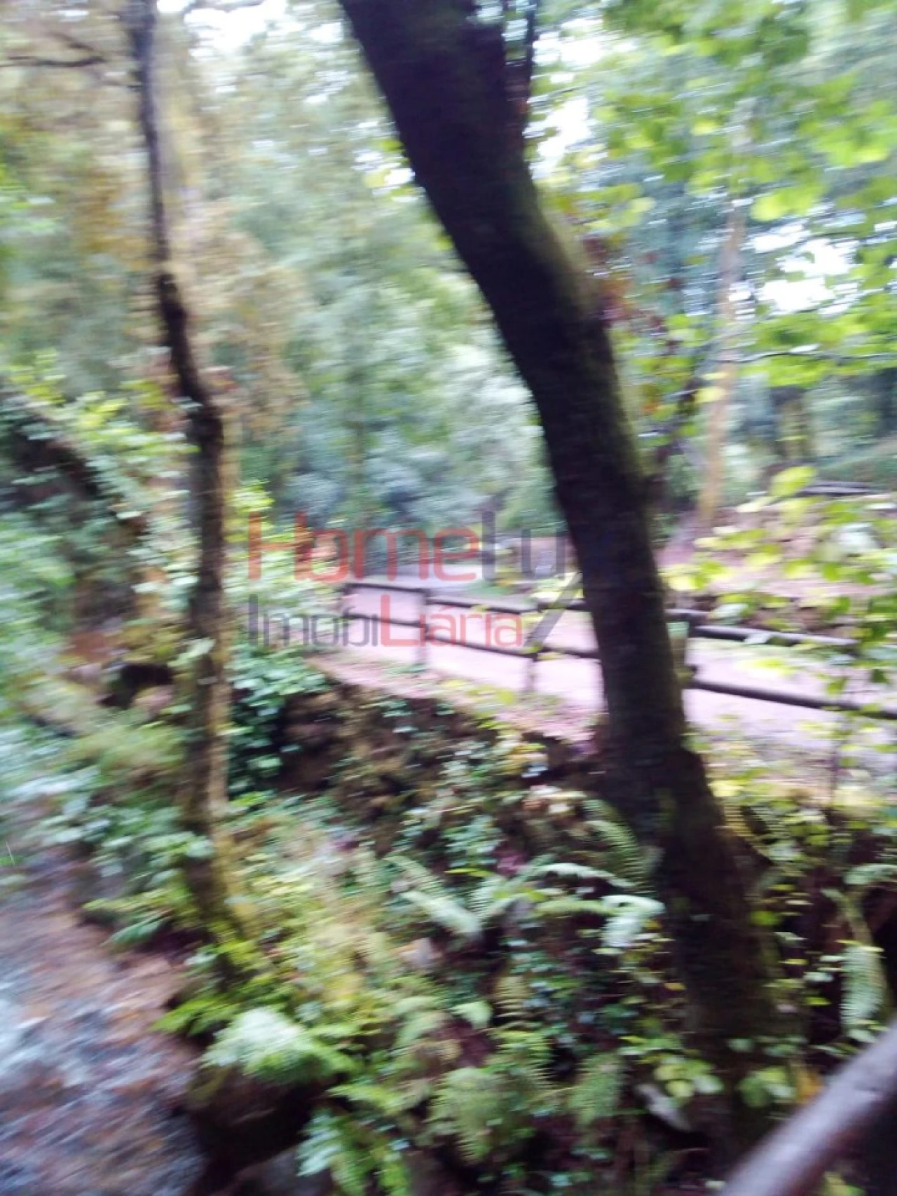 Terreno para Venda em O. Azeméis, Riba-Ul, Ul, Macinhata Seixa, Madail Foto 5