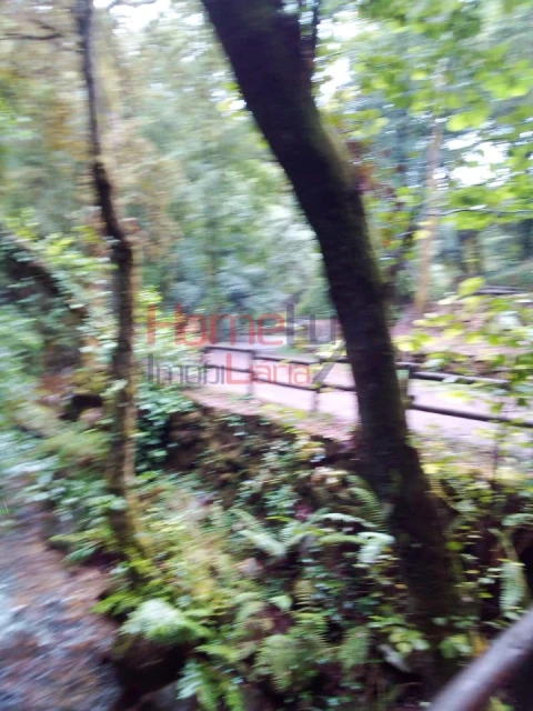 Terreno para Venda em O. Azeméis, Riba-Ul, Ul, Macinhata Seixa, Madail