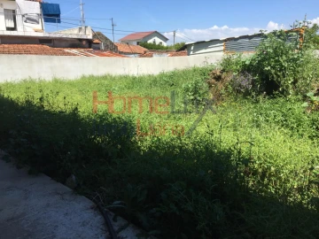 Terreno para Venda em O. Azeméis, Riba-Ul, Ul, Macinhata Seixa, Madail