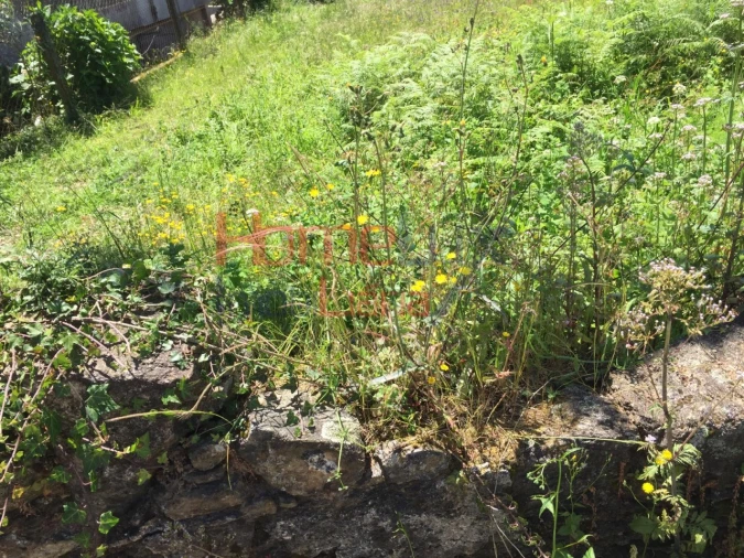 Terreno para Venda em O. Azeméis, Riba-Ul, Ul, Macinhata Seixa, Madail Foto 3