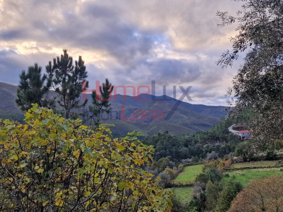 Moradia T2 para Venda em São Martinho das Moitas e Covas do Rio Foto 4