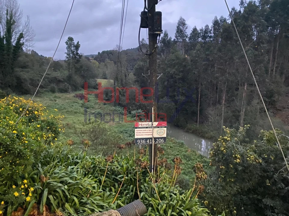 Terreno Agricola ou Rústico para Venda em O. Azeméis, Riba-Ul, Ul, Macinhata Seixa, Madail Foto 6
