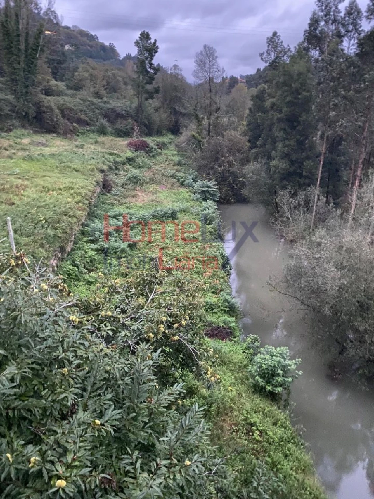 Terreno Agricola ou Rústico para Venda em O. Azeméis, Riba-Ul, Ul, Macinhata Seixa, Madail Foto 7